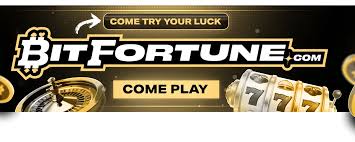 Bitfortune Revolutionizing Live Casino Experience for Fans