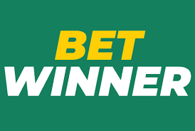 BetWinner Aviator A Thrilling Casino Experience