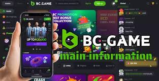 Comprehensive Guide to BC.Game Bonus Code Details 618462426