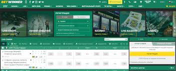 How to Withdraw Funds from BetWinner A Comprehensive Guide