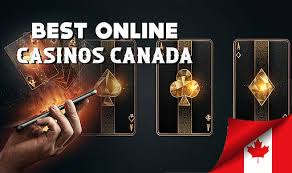 Real Money Casinos in Canada A Comprehensive Guide